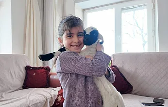 Elazığ'da kuzular eve taşındı