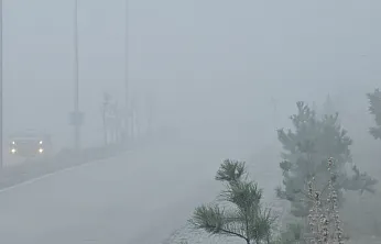 Elazığ'da yoğun sis etkili oldu