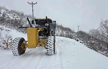 Elazığ-Diyarbakır karayolu trafiğe kapatıldı