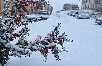 Elazığ kar yağışıyla beyaza büründü