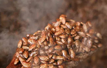 Badem şekerine 'Türk kahvesi' dokunuşu