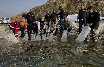 Karakaya Baraj Gölü'ne 420 bin yavru balık bırakıldı