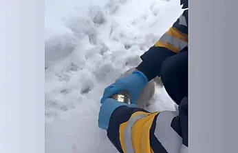 Kedinin yardımına sağlık ekipleri yetişti