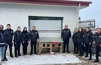 Üşüyen minik dostlara kedi evi