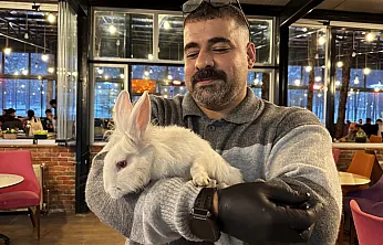 Tavşan 'Tombiş' kafenin maskotu oldu