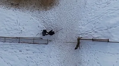 Doğaseverin köpeklerle zor anları