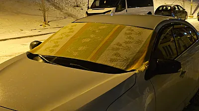 Dondurucu soğuklara karşı kilimli önlem