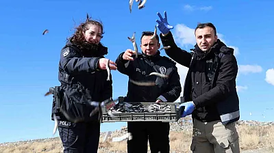 Ekipler martı ve tavşanları besledi