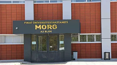 Elazığ'da feci ölüm