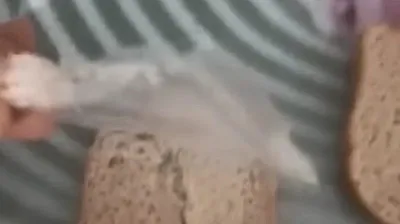 Elazığ'da ekmekten poşet çıktı