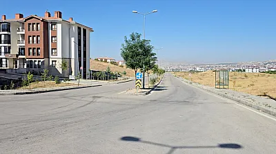 Elazığ'da kavurucu sıcaklar sokakları boşalttı