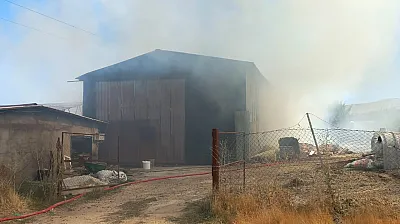 Elazığ'da köyde çıkan yangın paniğe yol açtı