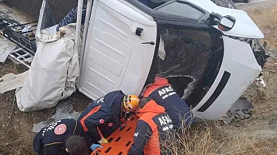 Elazığ'da pikap şarampole uçtu