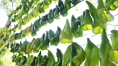 Elazığ'ın meşhur kofiği asılmaya başladı