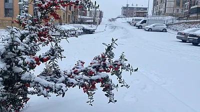 Elazığ kar yağışıyla beyaza büründü