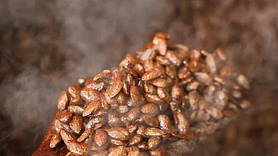 Badem şekerine 'Türk kahvesi' dokunuşu