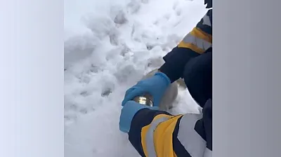 Kedinin yardımına sağlık ekipleri yetişti