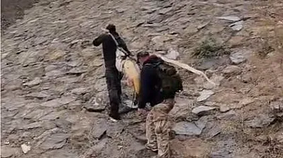 Murat Nehri'nde dev turna yakalandı