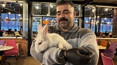 Tavşan 'Tombiş' kafenin maskotu oldu