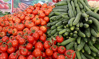 En ucuzu Elazığ'da!