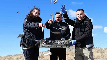 Ekipler martı ve tavşanları besledi