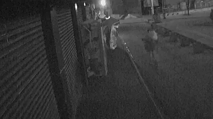 Elazığ'da branda hırsızlığı kamerada