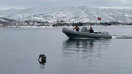 Hazar Gölü'nde su samuru görüntülendi
