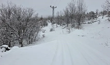 311 köy yolu ulaşıma kapandı