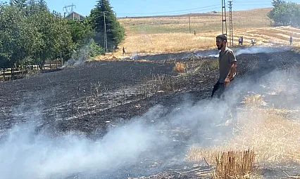 Elazığ'da ekili alan küle döndü