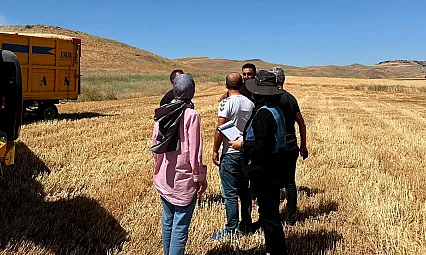 Elazığ'da hasat denetimleri sürüyor