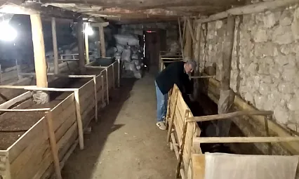Şehir hayatından sıkıldı, organik gübre üretmeye başladı