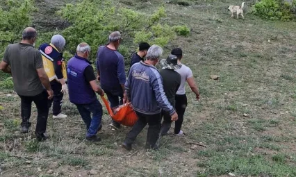 Tunceli'de ayı saldırısı