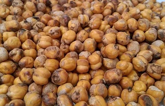 Tadını kavrulduğu kumdan alan Ağın leblebisine talep arttı