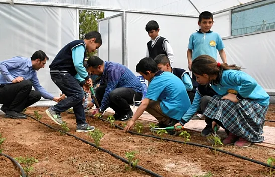 Tarım ve hayvanlarla içe içe eğitim