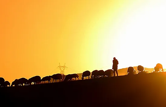 Göçerlerin asırlardır süren çileli yolculuğu