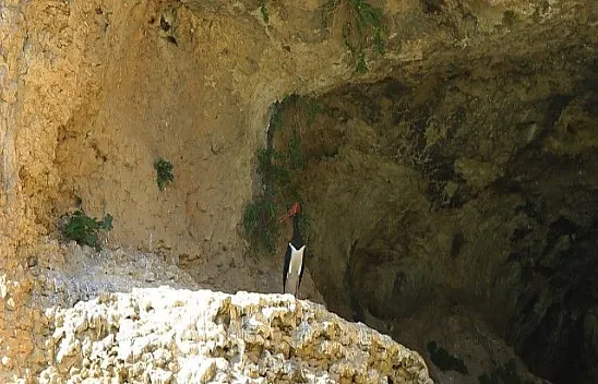 Karaleylek Kanyonun'dan muhteşem görüntüler