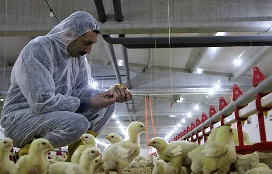 Şehir hayatından sıkıldı, Devlet desteğiyle çiftlik kurdu