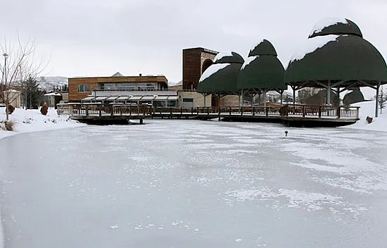 Soğuk hava süs havuzlarını dondurdu