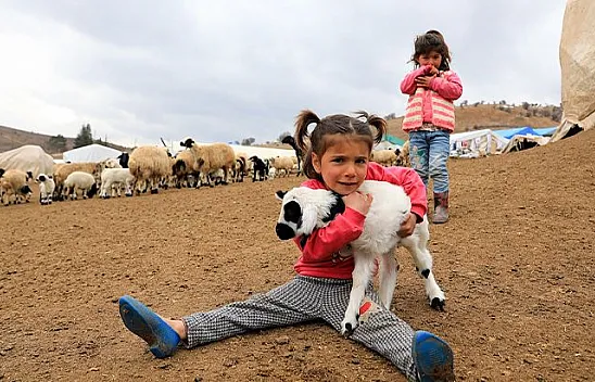 Sonbahar yağışları ile besicilerin yüzü güldü