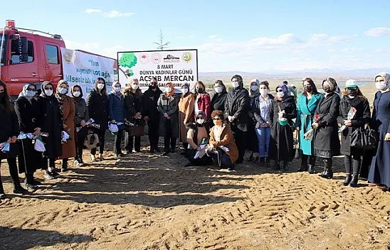 11 şehit anısına fidan dikildi