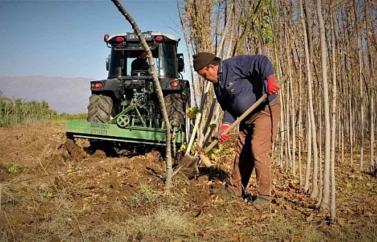 2 milyon fidan toprakla buluşacak