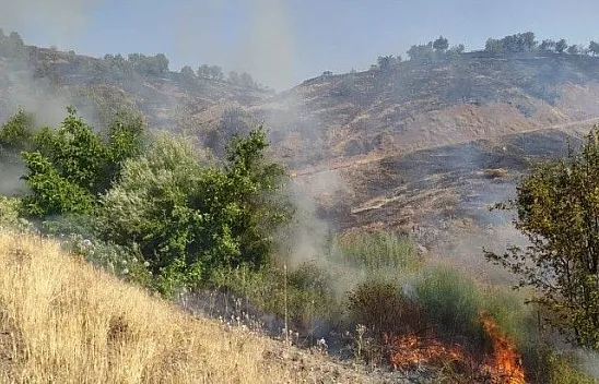 2 gün süren orman yangını söndürüldü