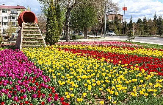 Elazığ'da ilkbahar güzelliği