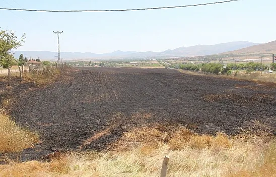 Sigara izmariti 80 dönüm buğdayı kül etti