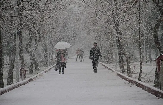 Elazığ'da kar etkisini gösterdi