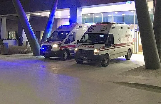 Ağabey kardeşini vurdu