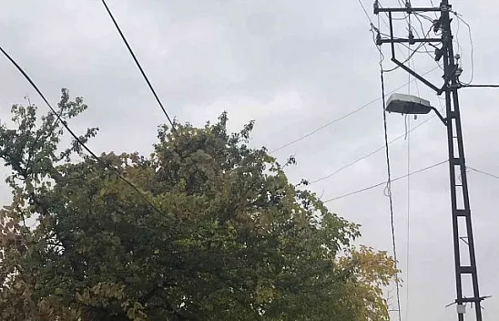 Ağaçların arasında kalan elektrik telleri tehlike saçıyor