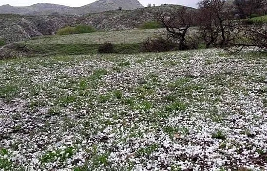 Alacakaya'da misket büyüklüğünde dolu yağdı