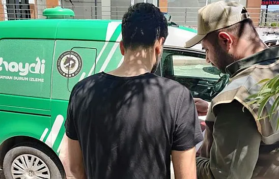 Aracıyla kediyi ezdi, HAYDİ ekiplerinden kaçamadı
