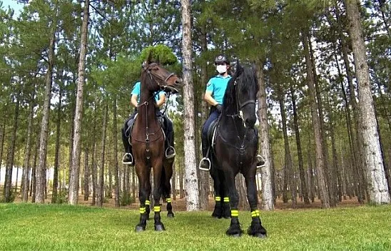 Atlı jandarma birlikleri görev başında